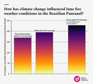 A graphic showing the change in the intensity of hot, dry and windy weather conditions in the Brazilian Pantnal due to climate change. As the climate warms, these fire-prone weather conditions are becoming more intense. 