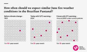 A graphic showing the change in the likelihood of hot, dry and windy weather conditions in the Brazilian Pantnal due to climate change. As the climate warms, these fire-prone weather conditions are occuring much more frequently. 