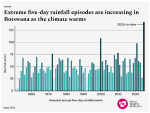 Figure 2: Wettest 5-day period each year over southern Botswana from 1950-2025. Data from ERA5. 