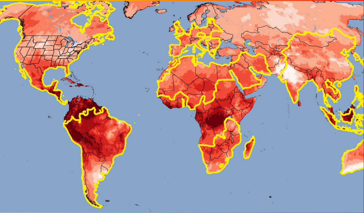 A map of the world showing heat anomalies over a 12 month period up until May 2024.